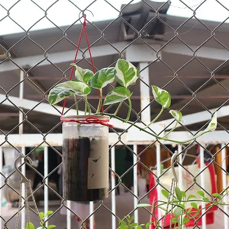 Kalon Homestay, Hai Ba Trung, Hn